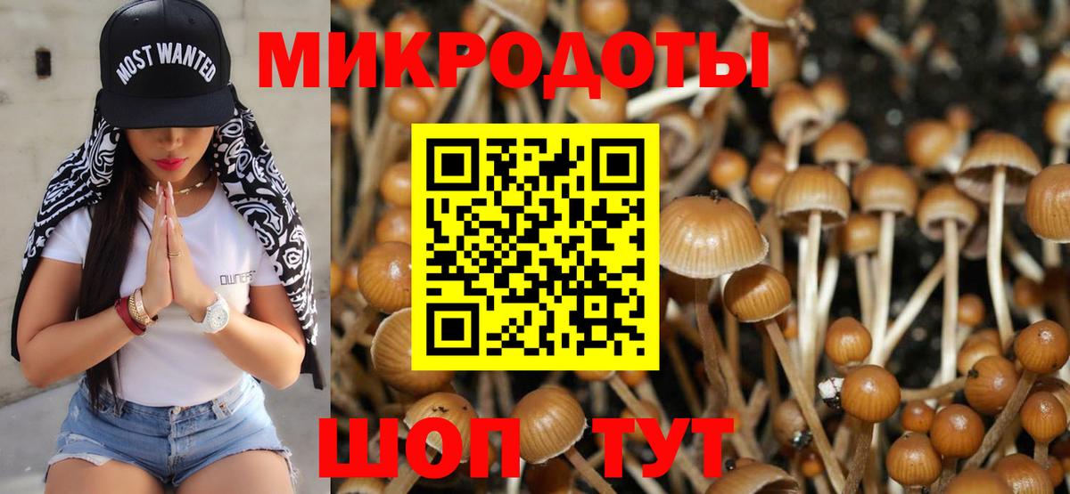 Люберцы  Псилоцибиновые грибы ЛСД  Вход с VPN 